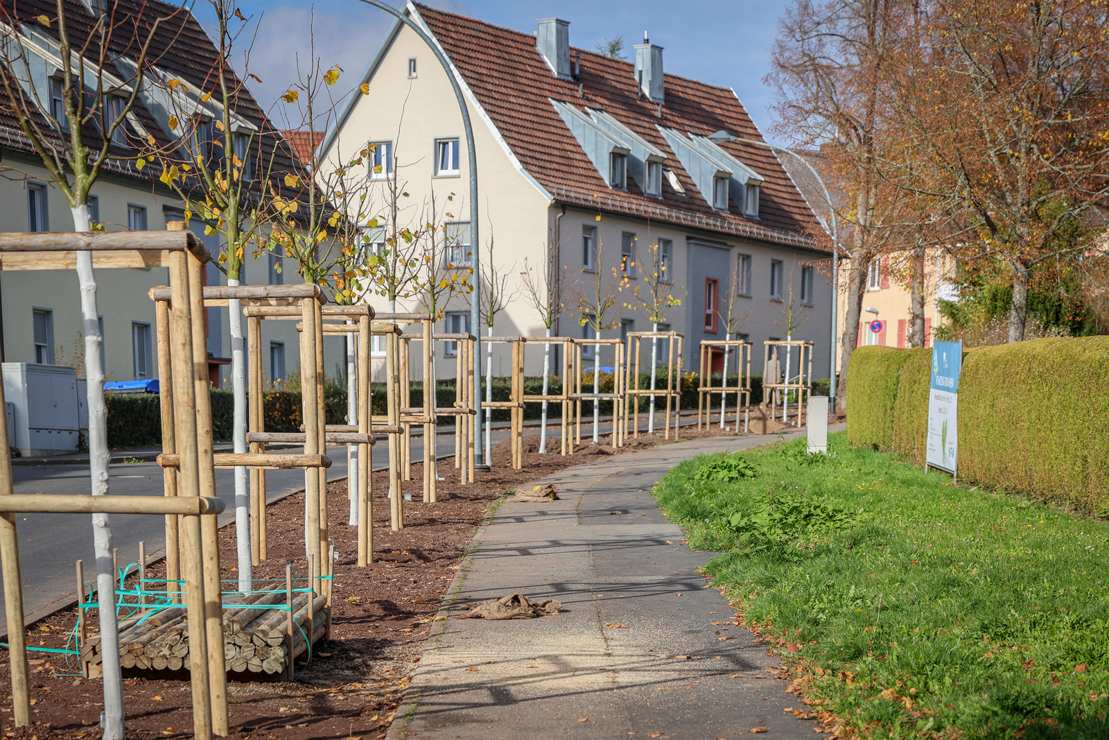 5,6 Mio. Euro KfW-Förderung für Klimaschutz bis 2027 bestmöglich nutzen! 170 neue Bäumen in der Stadt, hier Vernonstraße